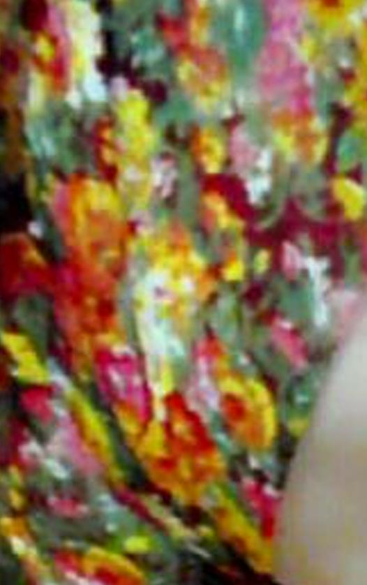 Sari_Link's profile banner image