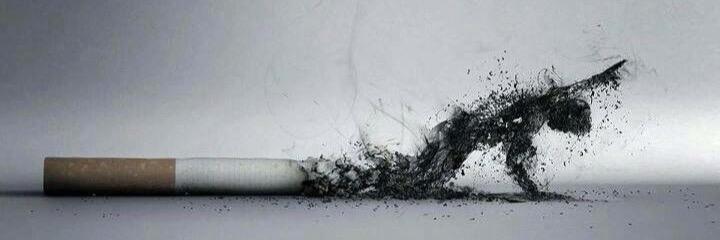 GiuseppeBonapar's profile banner image