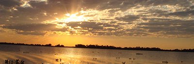 Ana Rosa Moreno banner