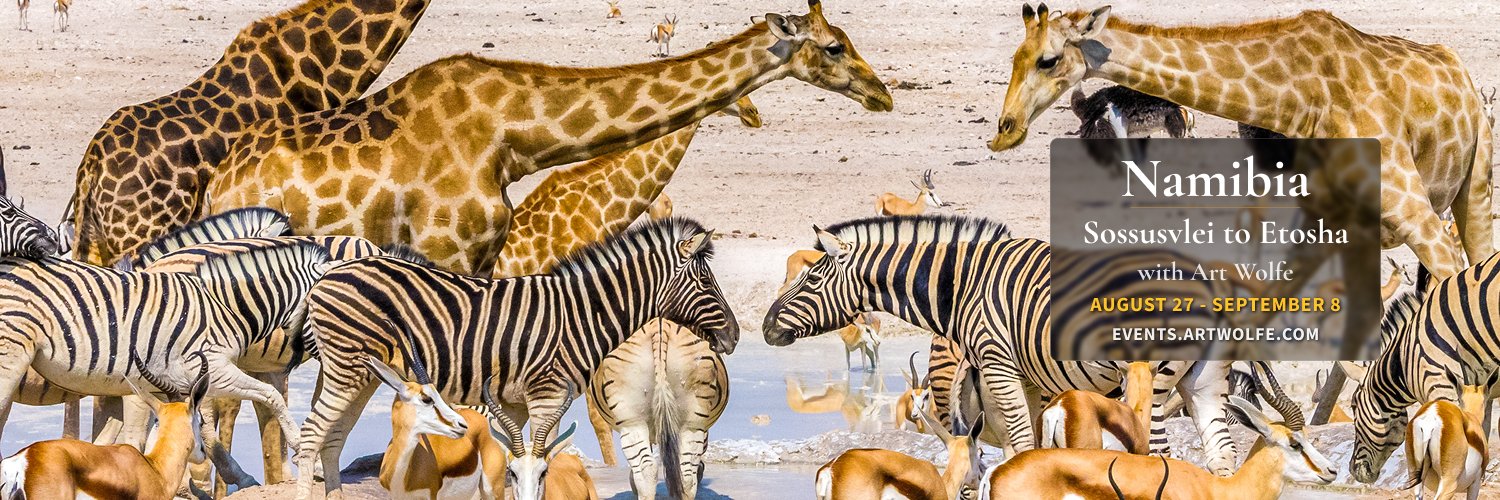 Art Wolfe banner