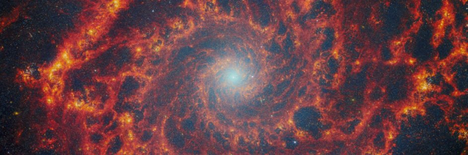 𝓥𝓮𝔁𝓮𝓭 banner