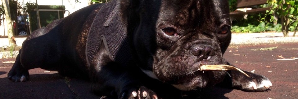 DuarteRodrguez's profile banner image