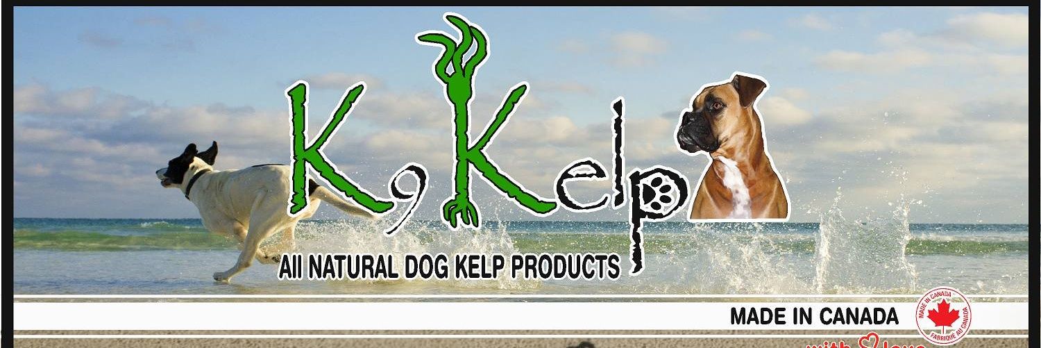 K9Kelp's profile banner image