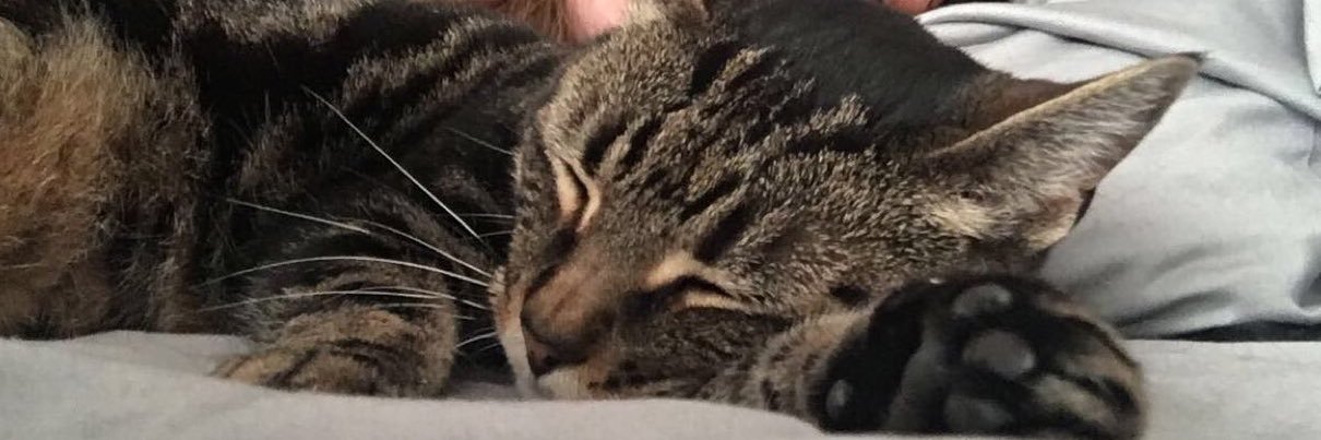 TelseyWeed's profile banner image