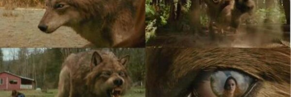 SpaceHeaterJake Profile Banner