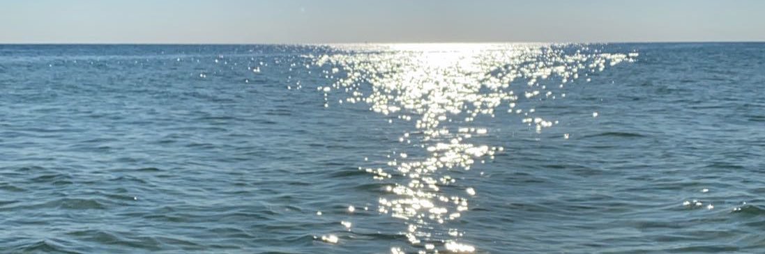 Fly_KinkyRN's profile banner image
