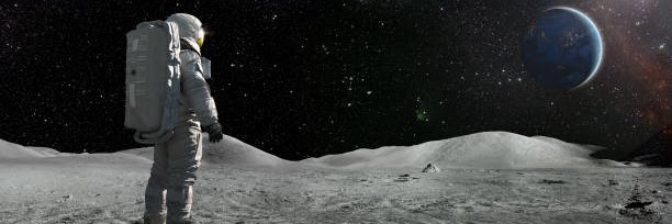 Catnetsz's profile banner image