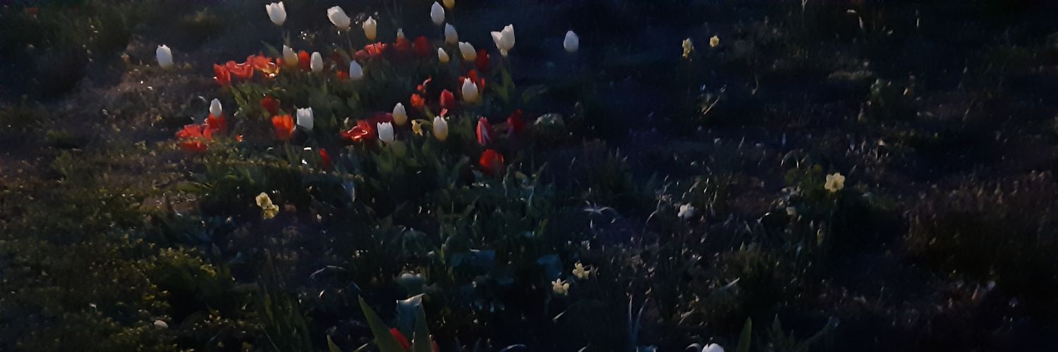 tszkaftan's profile banner image