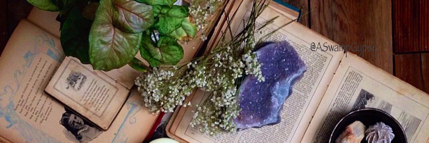 ASwampGypsy's profile banner image