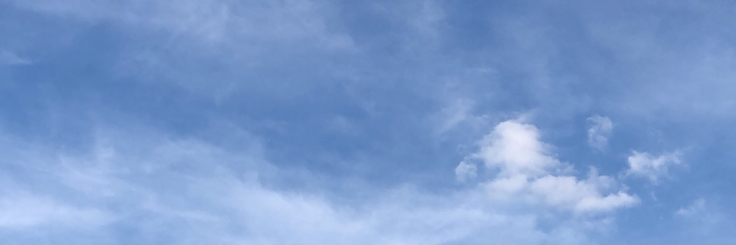 bellaadams9's profile banner image