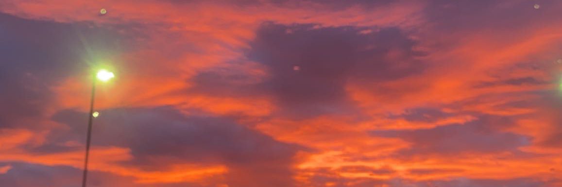 katttierobrtson's profile banner image