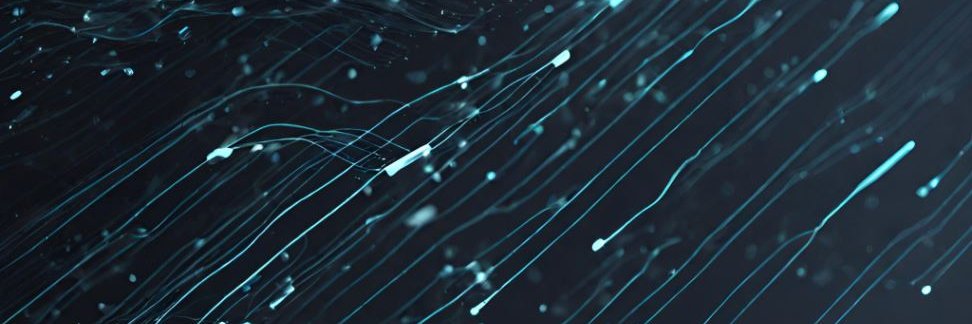 dataNdb's profile banner image
