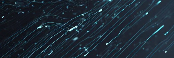 dataNdb Profile Banner