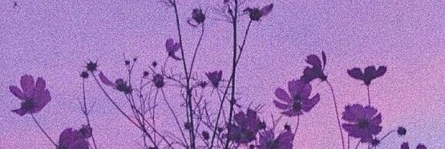 bonanscult's profile banner image