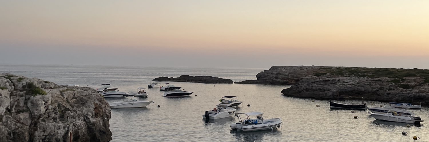 Sergi Serra Baleri banner