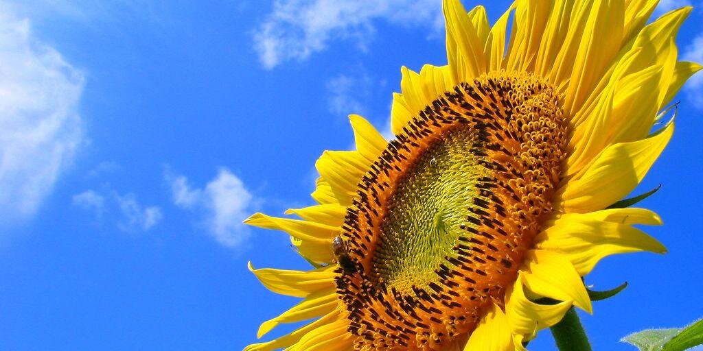 mymyb38's profile banner image