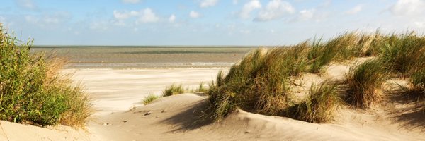 SanderLoones Profile Banner