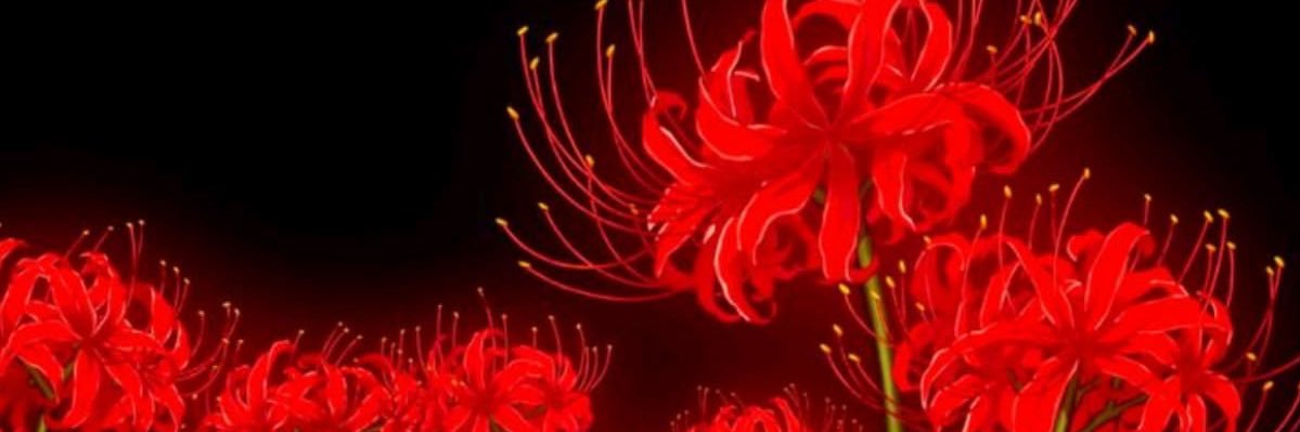 meghdelf's profile banner image