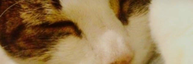 radders88's profile banner image