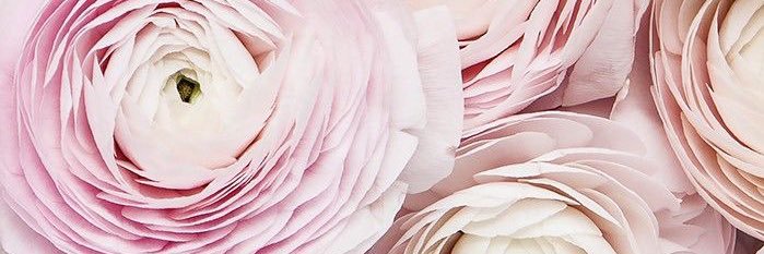 Vic_StudioV's profile banner image