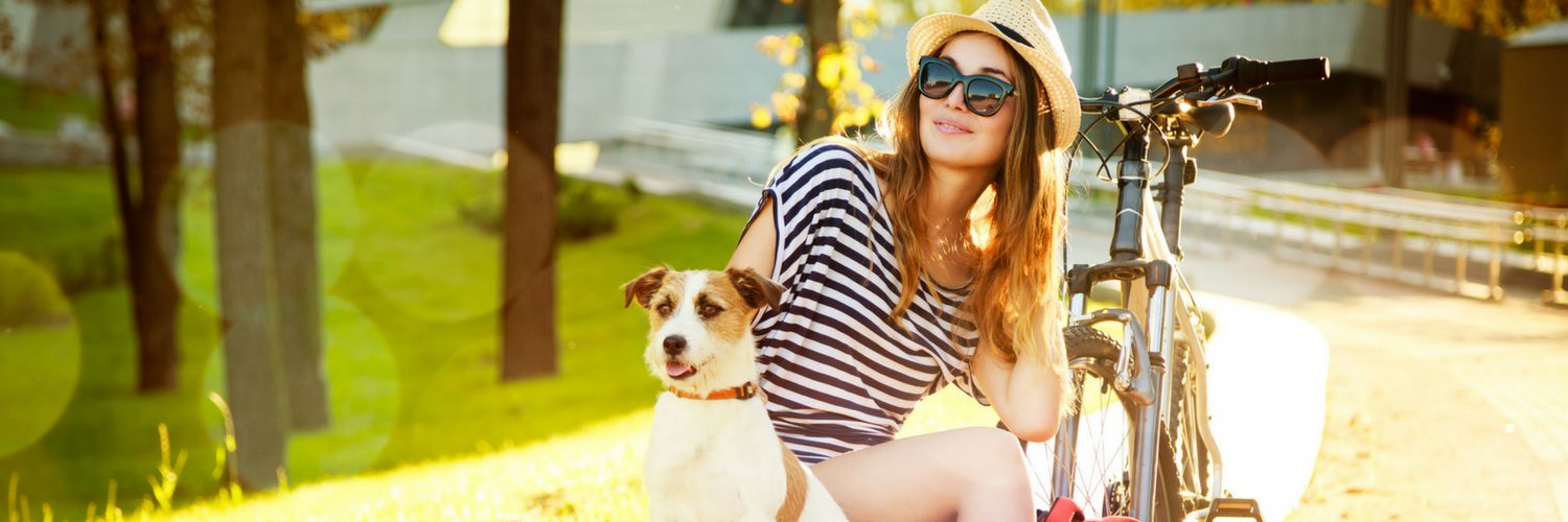 houndandco's profile banner image