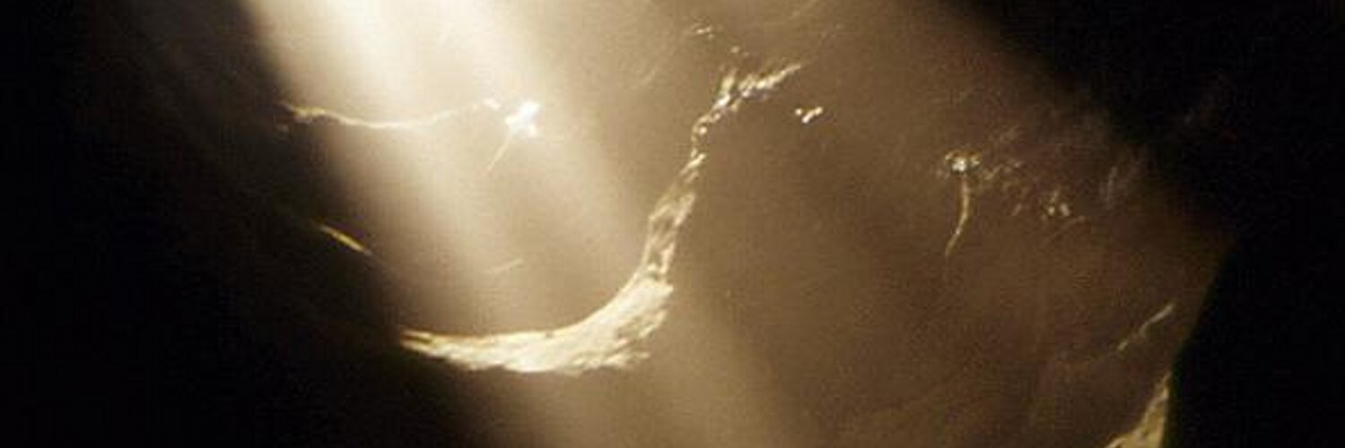 SomePsychagogue's profile banner image