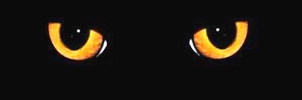 WomanOnTOPZ72's profile banner image