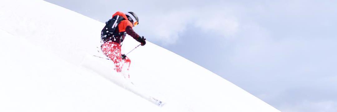 Niloofar Razi Howe banner