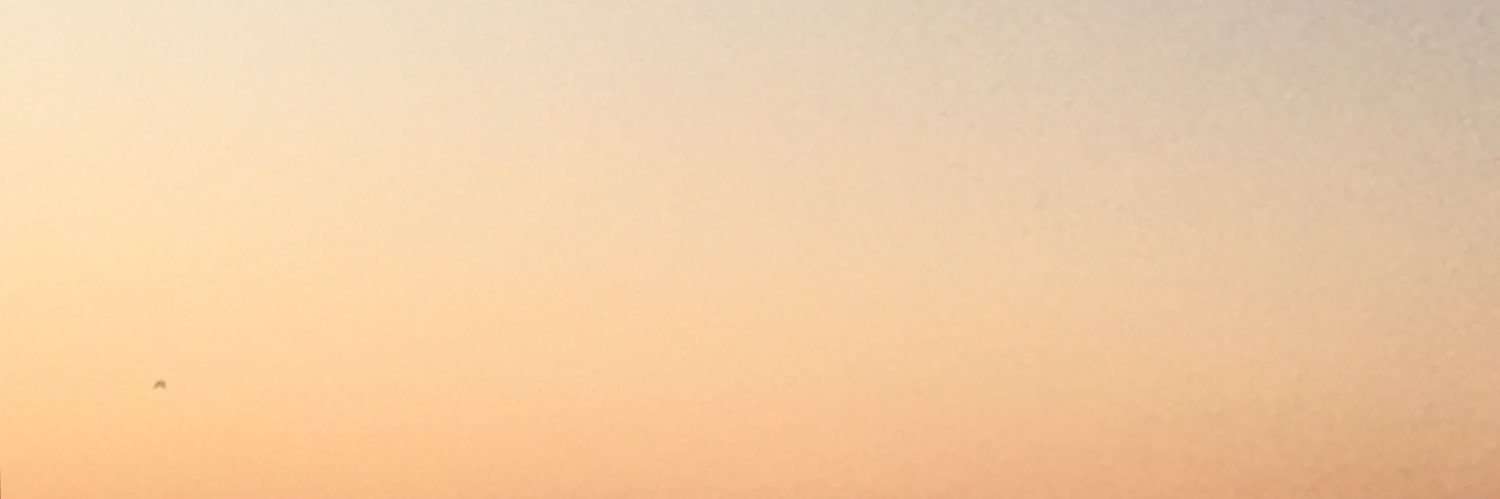 Лёша banner