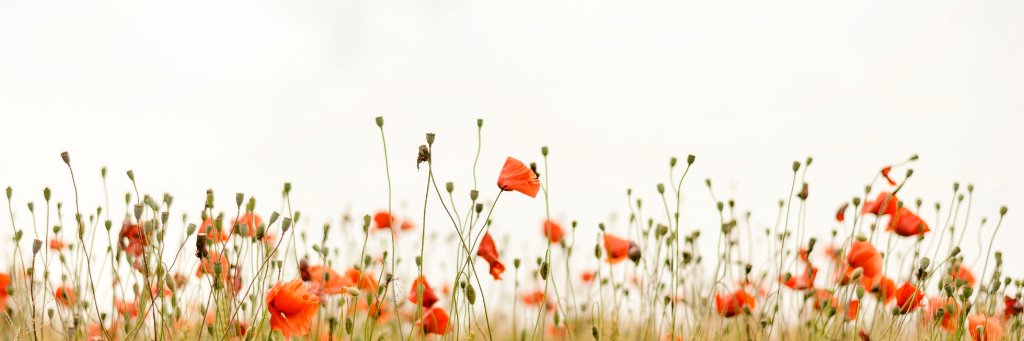 CSRVastsverige's profile banner image