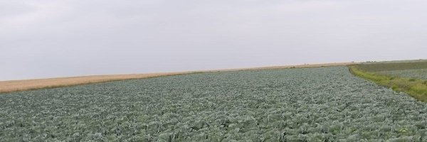 geoffsirumba Profile Banner