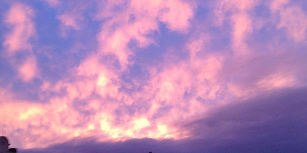 Chelsea Gonzalez banner