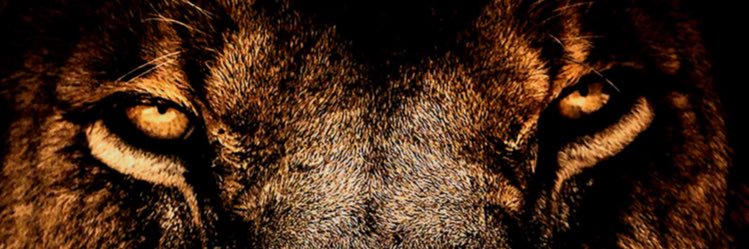 Jonathan_Lil125's profile banner image