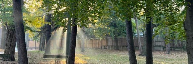 rhsa stories 📚 & 🚴‍♀️ banner