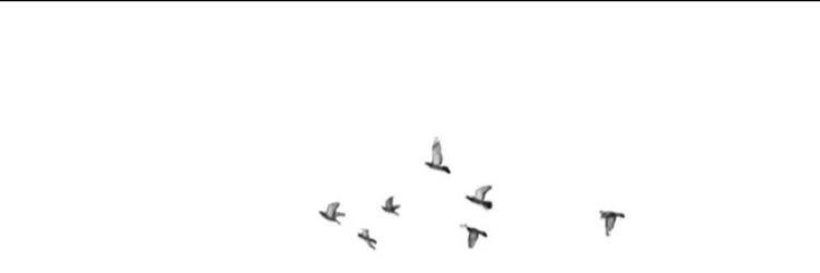 ebtesam_ebrahim's profile banner image