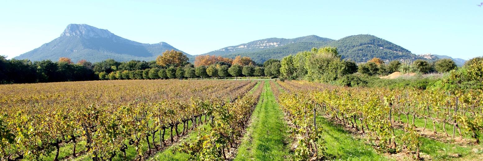 Château LA CASTILLE banner