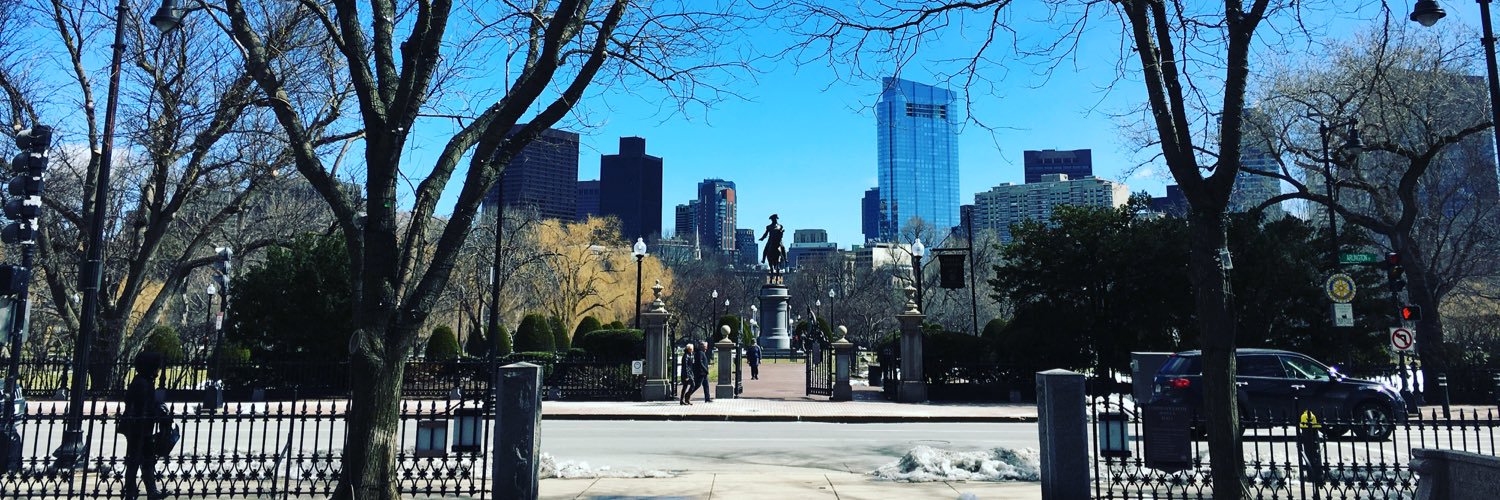 Alexandra Higginson banner