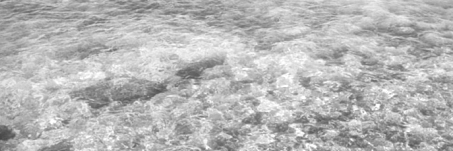 PSPolarSun's profile banner image