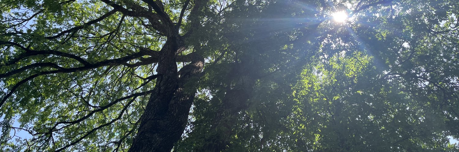 CrrawDaddy's profile banner image