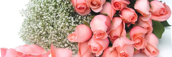 NylerRose Profile Banner