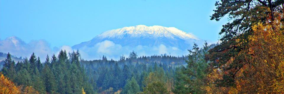 ClarkWaTreasury banner