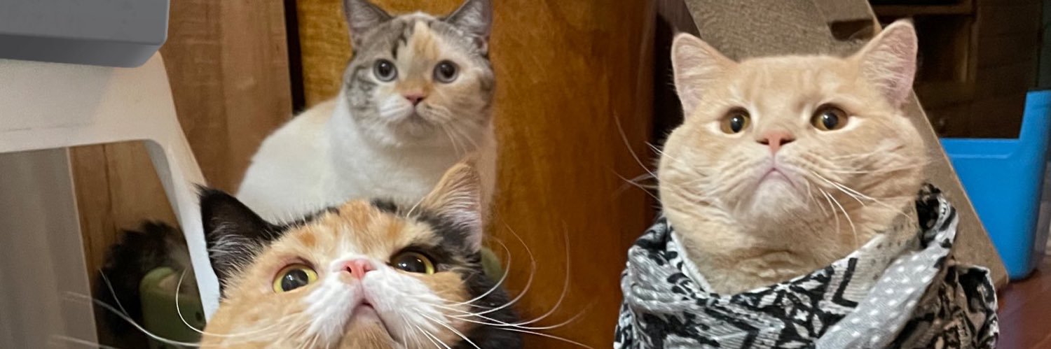 HPizza24's profile banner image