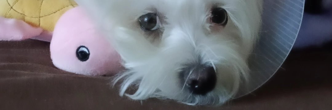 mrnnnxvr's profile banner image