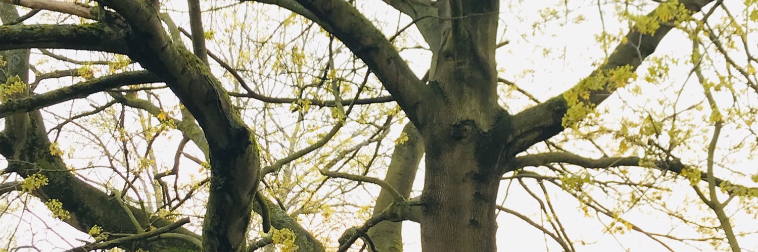 BugedaPhysio's profile banner image