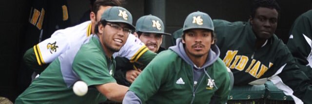 elgibbysanchez's profile banner image