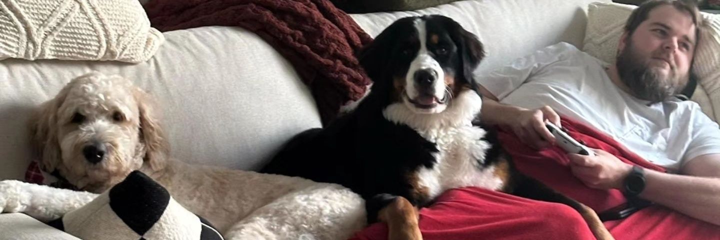 Ryan Colson banner