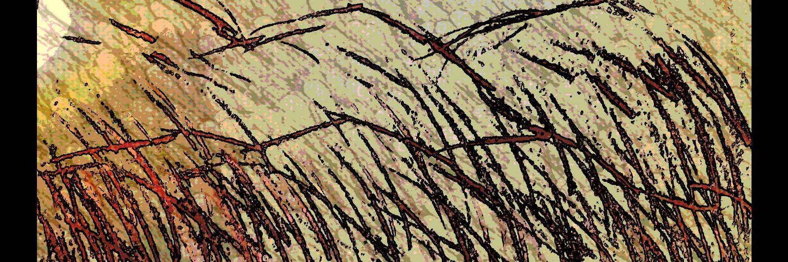 MockingHeart Review banner