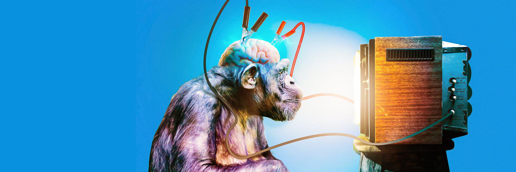 Primo27's profile banner image