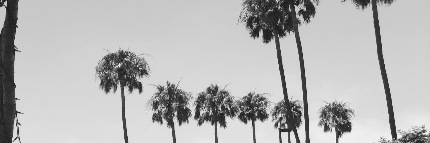 trac__'s profile banner image