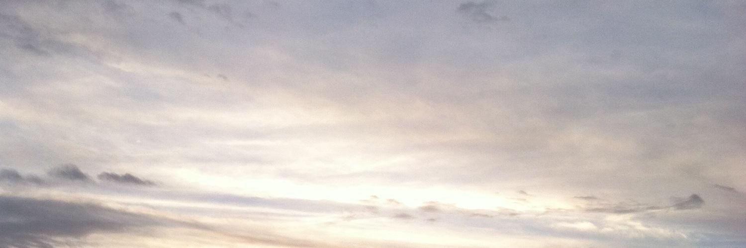 GangstaAriG's profile banner image